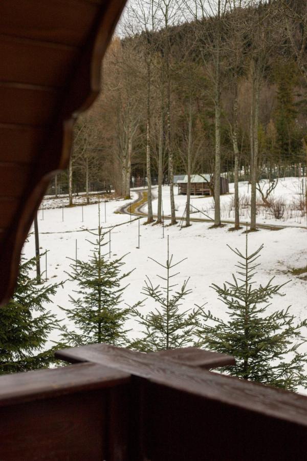 Golden Apartments Zakopane- One Bedroom Apartment - Mountain View&B14 المظهر الخارجي الصورة